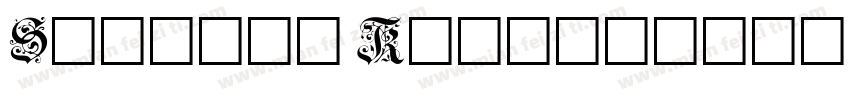 Shinsei Kaisho字体转换